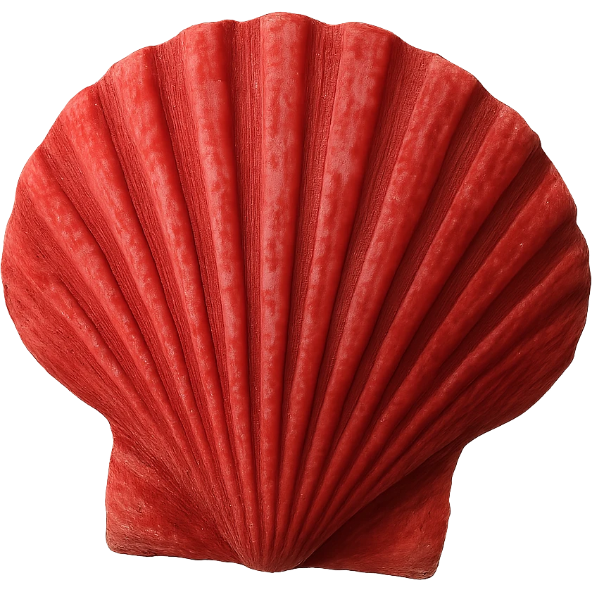 red seashell, remove background emoji
