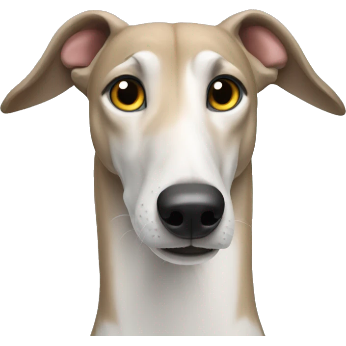 Russian greyhound dog emoji