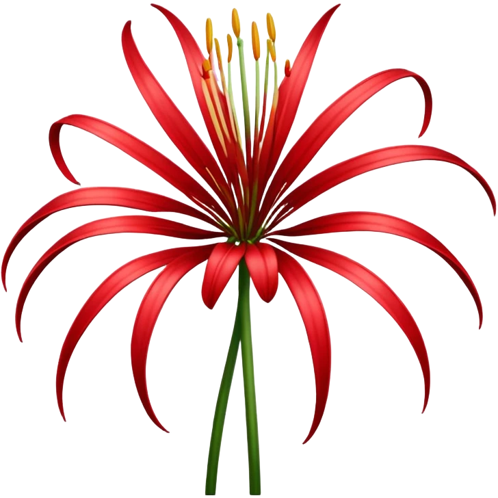 spider lily as an iPhone emoji  emoji