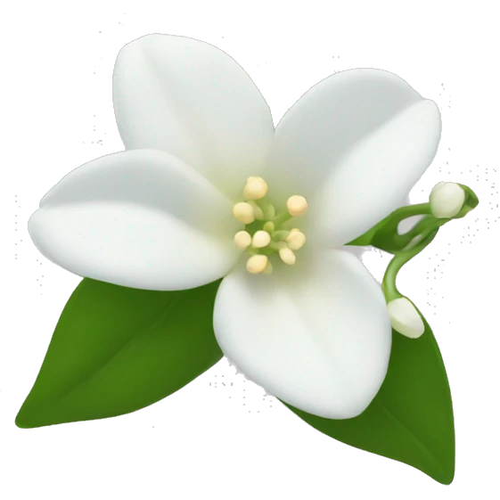Night Jasmine flower emoji