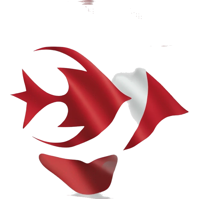 flag of turkish republic of northern cyprus emoji