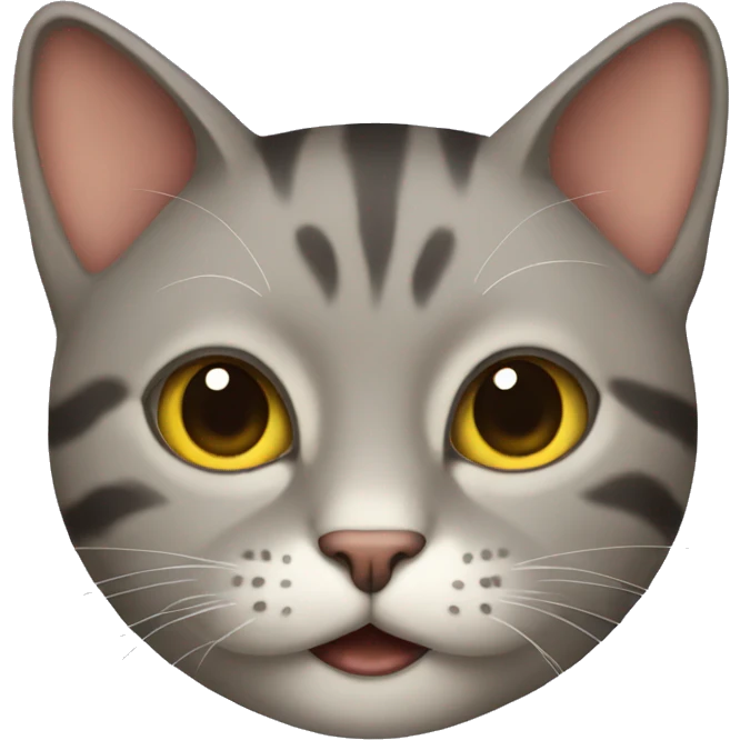 cat funny  emoji