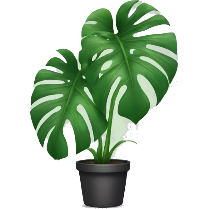 Monstera emoji