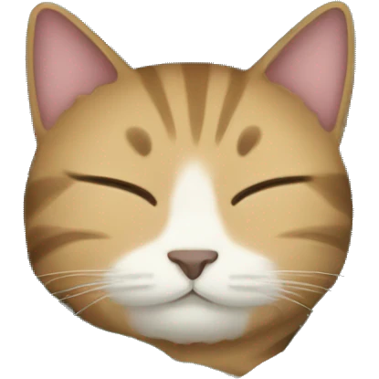 The cat sleeps in a blanket emoji