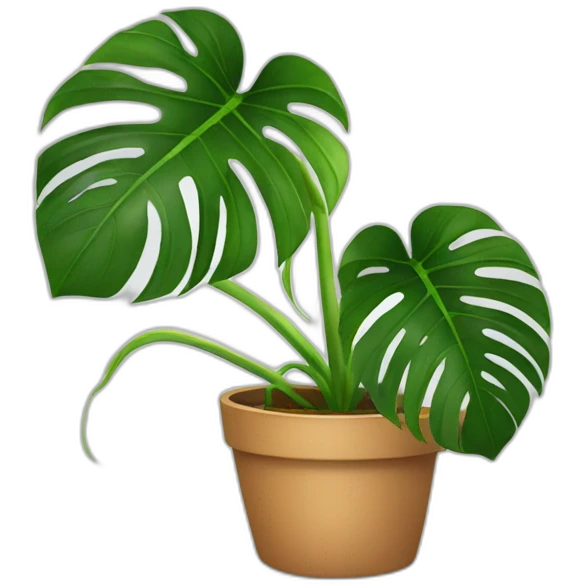 Monstera plant in pot emoji
