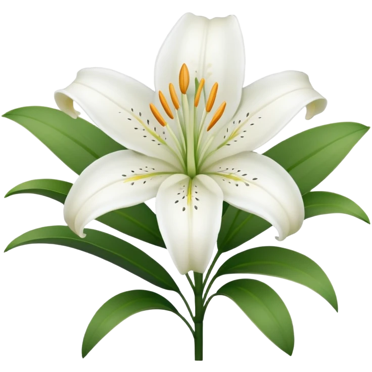 white lily flower, minimal, elegant emoji