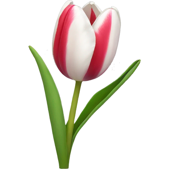Tulip emoji