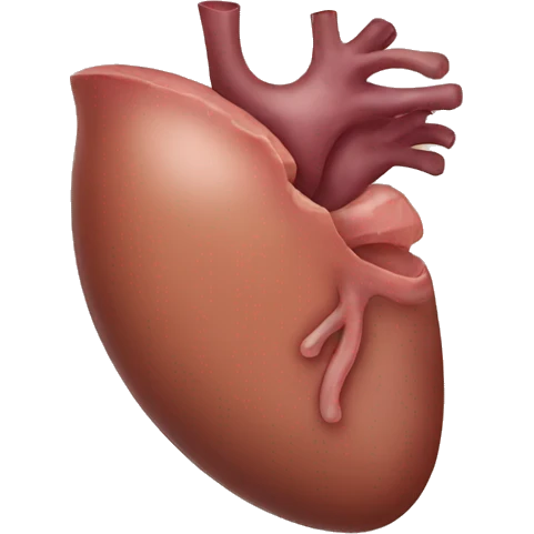 liver emoji
