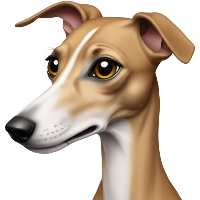 Italian greyhound emoji