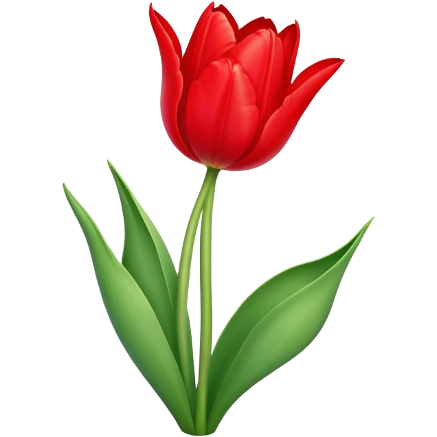 A tulip

 emoji