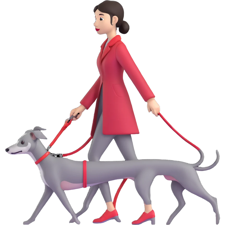 Beautiful Asian girl walking a completely solid grey Italian greyhound with a grey nose on a simple red leash, no white markings anywhere, pure grey dog emoji