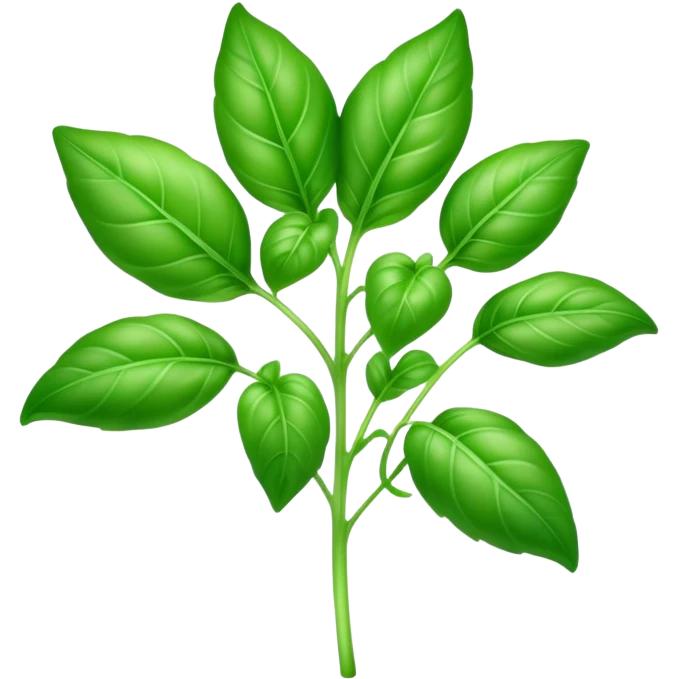 Cinematic Realistic Basil Emoji, Lush and fragrant, with vibrant green leaves that release a fresh, herbal aroma. The soft, glossy leaves are delicately arranged along slender stems, exuding vitality and flavor. Soft glowing outline, capturing the essence of freshness, growth, and aromatic delight in a blossoming basil plant! emoji