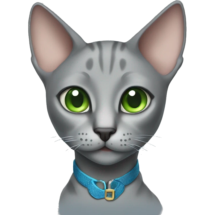 grey oriental cat with green eyes and blue collar emoji