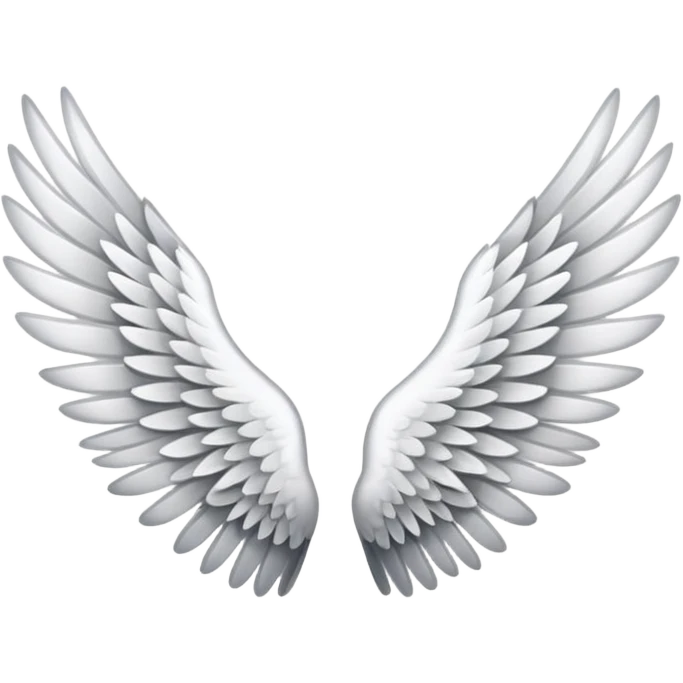 Wings both Left and right side emoji