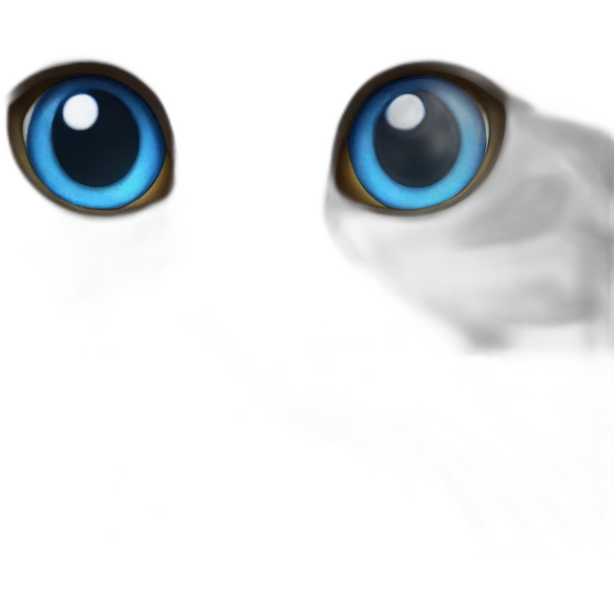 blue eyed cat emoji