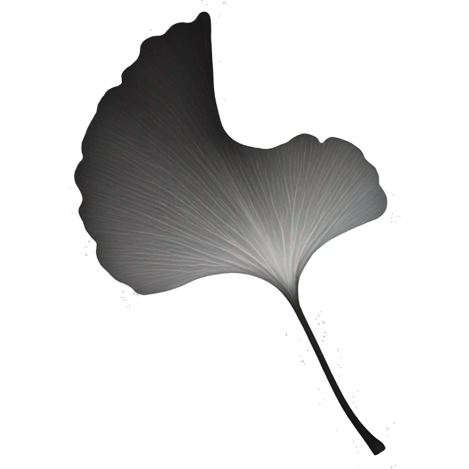 single leaf minimal black and white ginkgo emoji