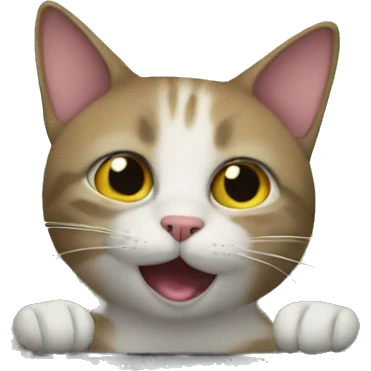 Cat in a car emoji
