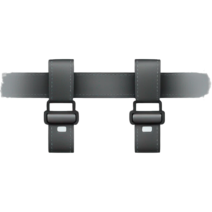 seatbelt emoji