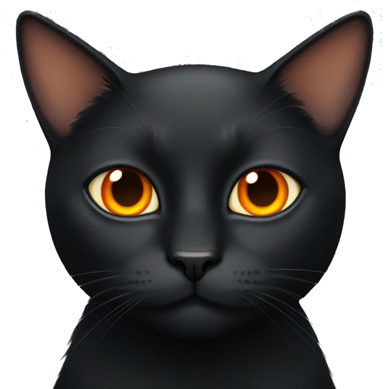 Black cat with orange eyes emoji