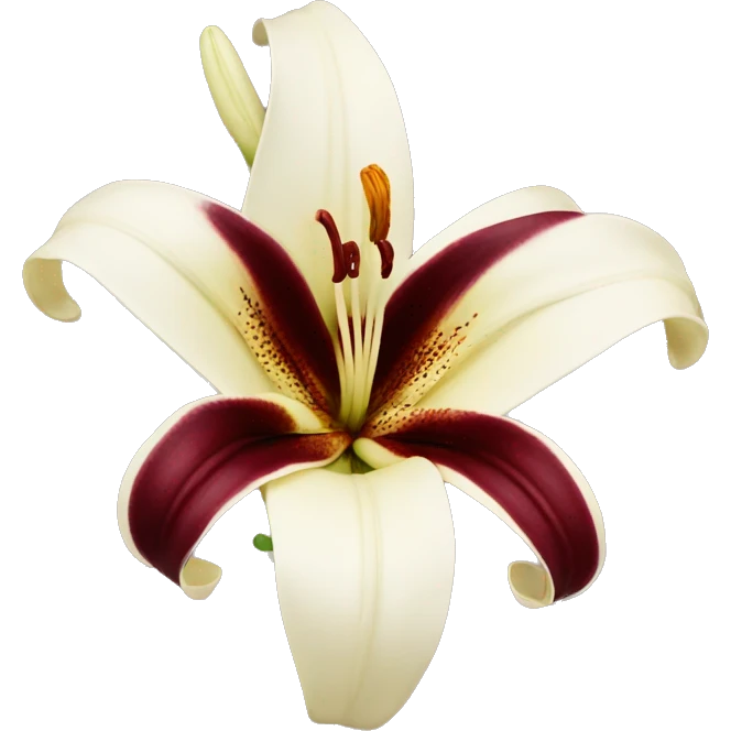 realistic cream and burgundy lily emoji