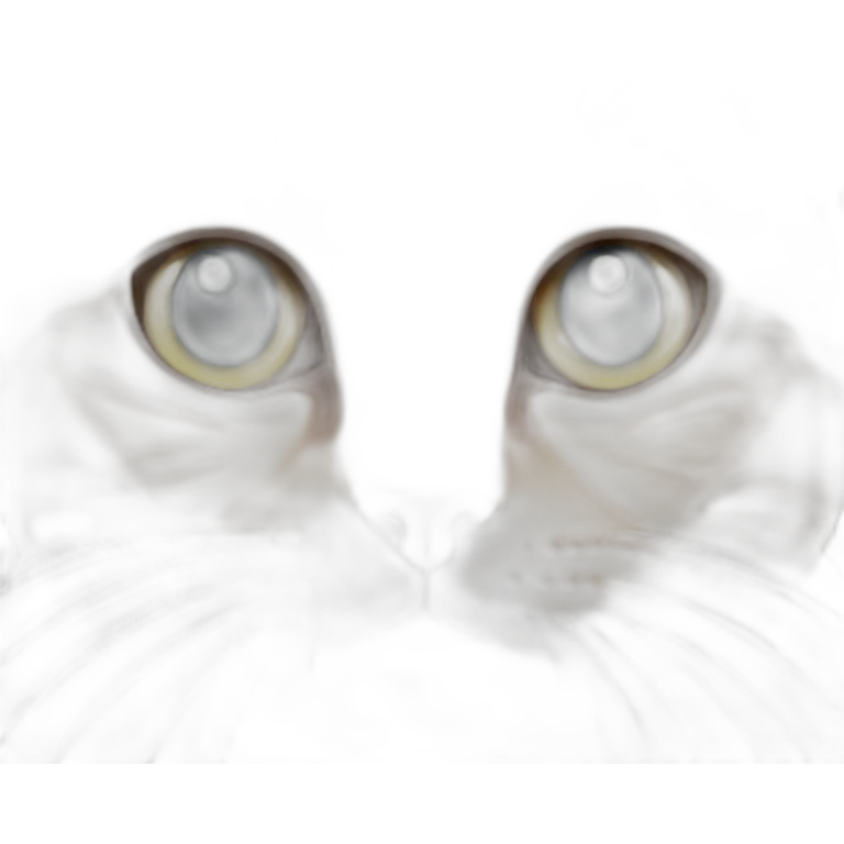 American–shorthair–cat emoji