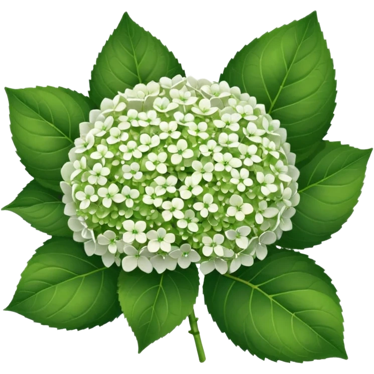 22 White Hortens emoji