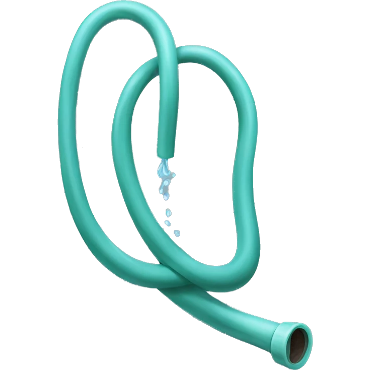Water hose emoji