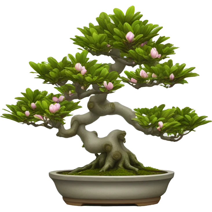 Pot magnolia bonsai emoji