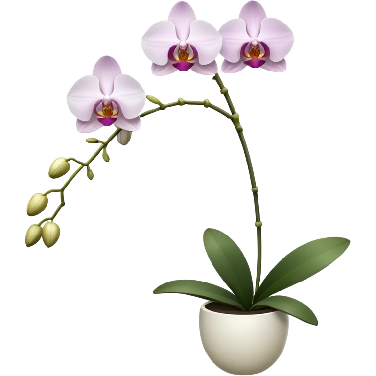 orchid emoji
