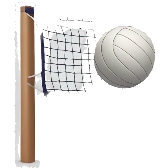 Volleyball net with ball emoji