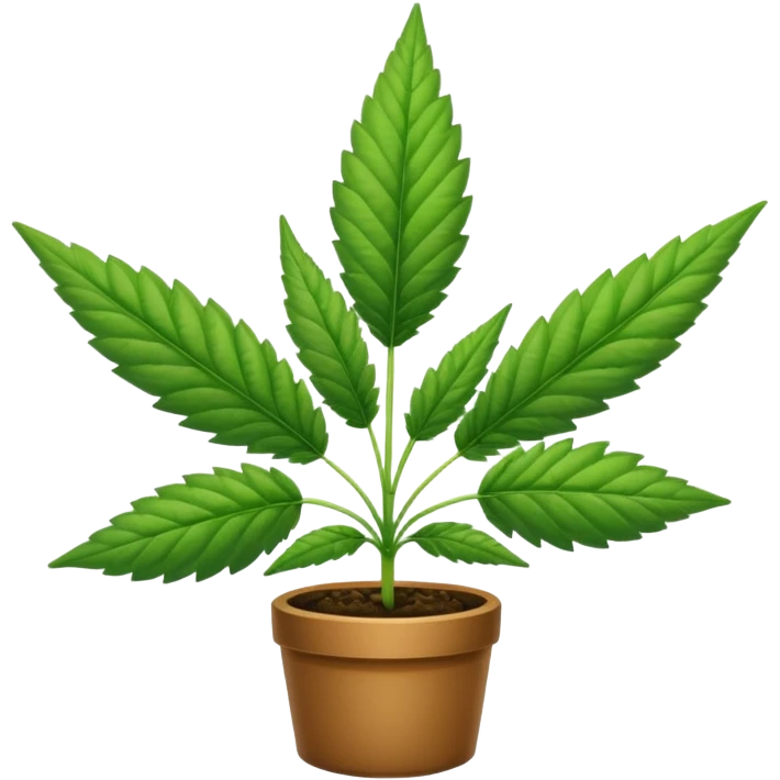 Canabis emoji