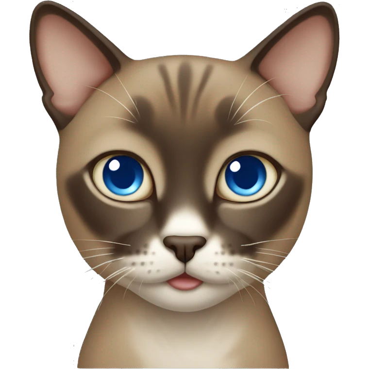 Dark Brown face - beige body thai cat with blue eyes  emoji