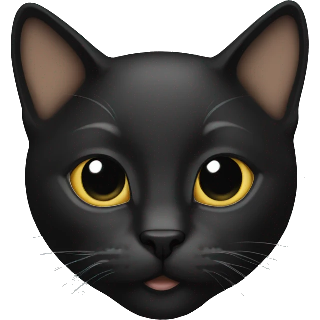 Cat blak emoji