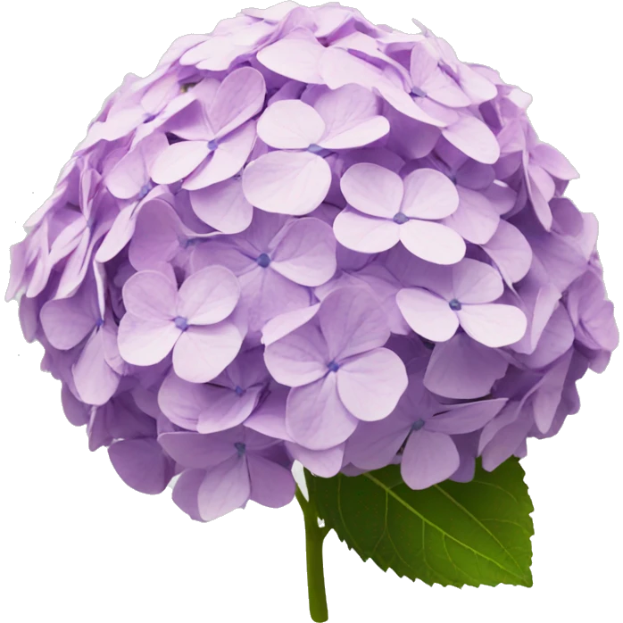 hydrangea emoji