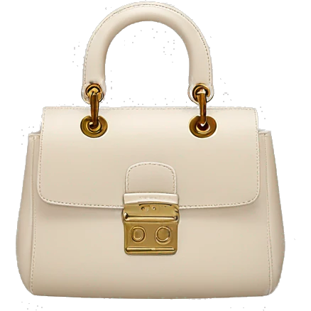 light beige dior bag emoji