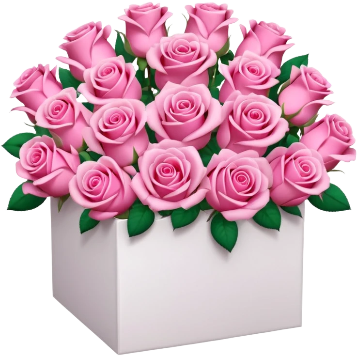 bouquet of pink 30 roses in a white box，no leaves emoji
