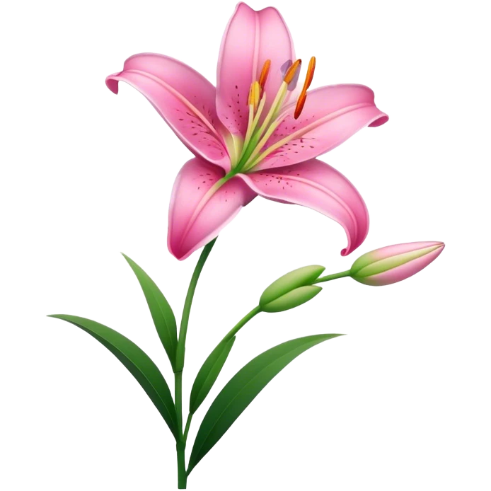 pink Lily flower stem emoji