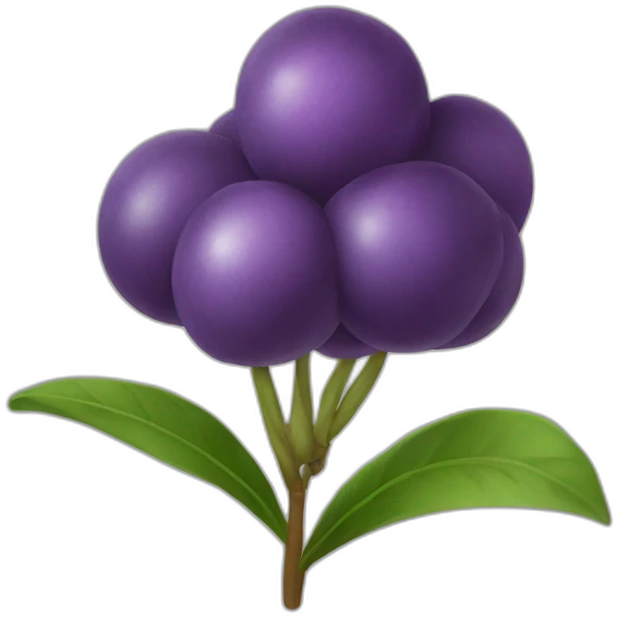 myrtille emoji