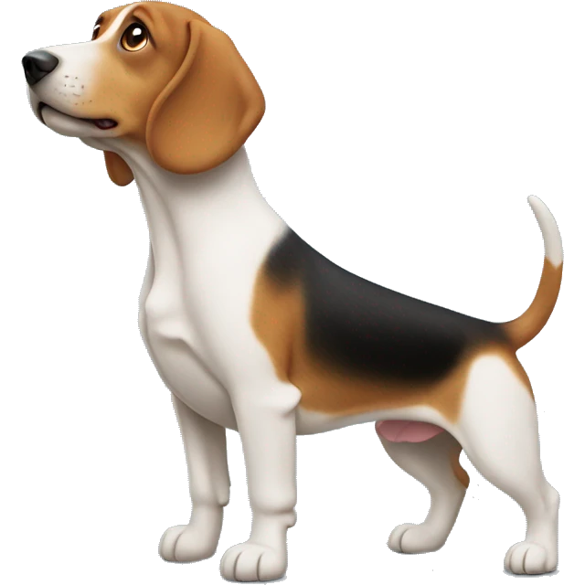 un beagle et un teckel  emoji