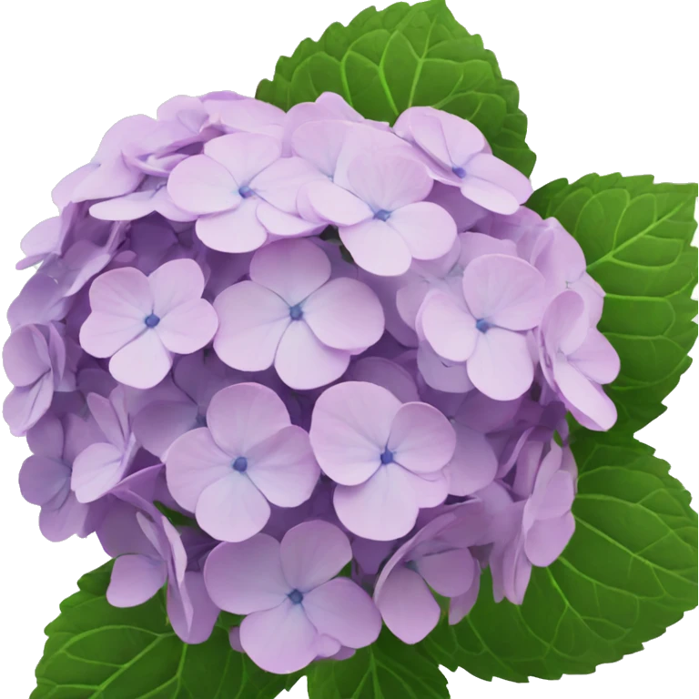 hydrangea emoji