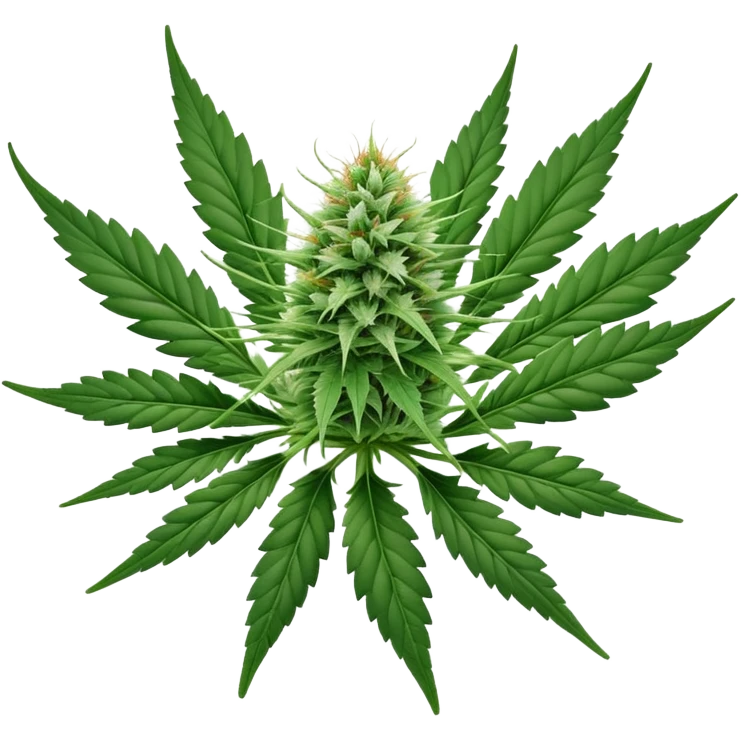 cannabis flower emoji