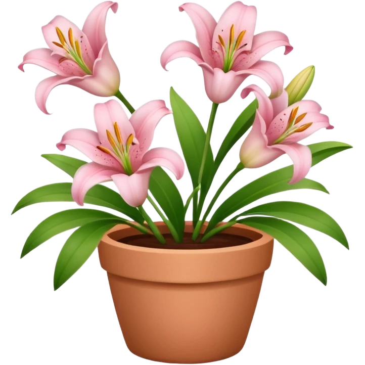 light pink lily flowers in a clay pot emoji