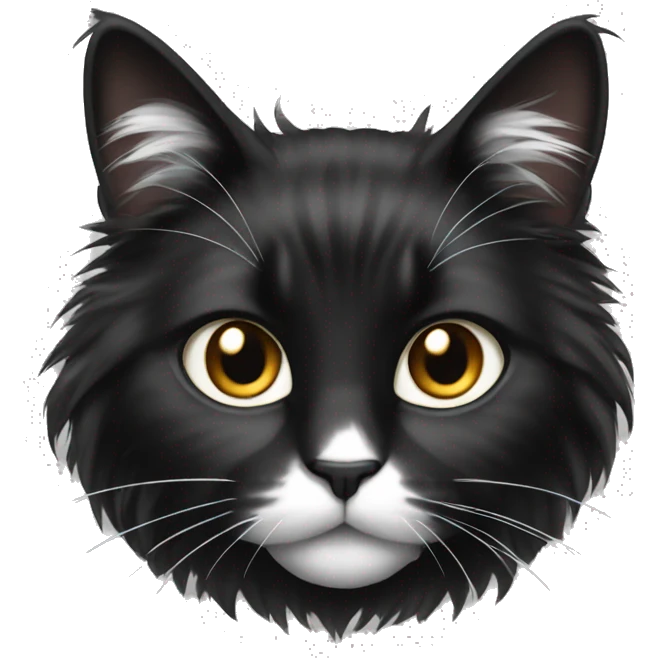 long haired cat black with white spot emoji