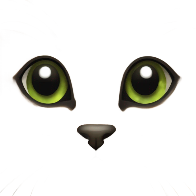 Tortoise cat emoji