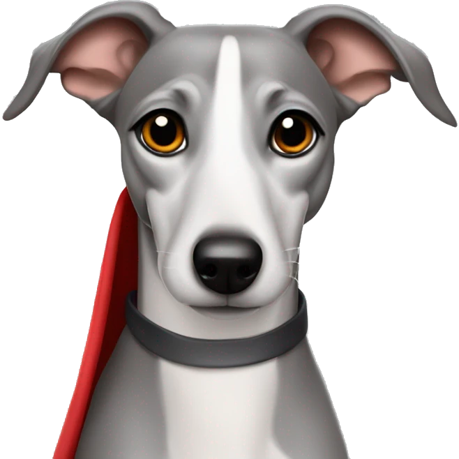Grey whippet with a red blanket emoji
