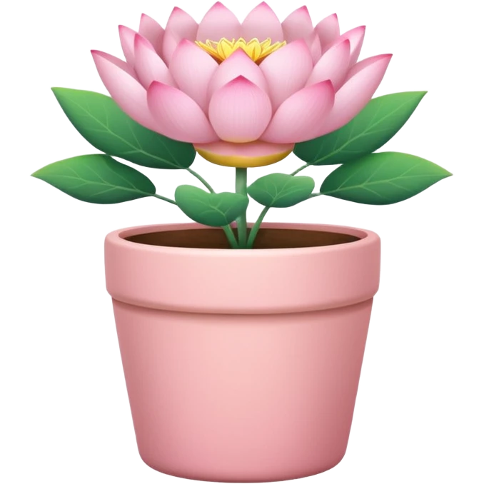 Short, cylindrical ceramic flower pot in pastel pink, containing a lotus flower plant. emoji