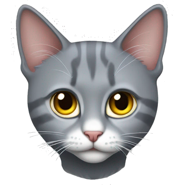 gri kedi emoji