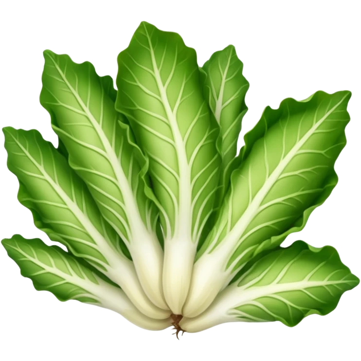 green blegian endive radicchio emoji
