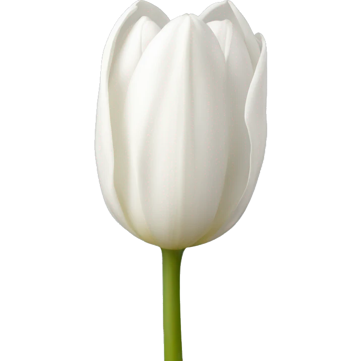 Tulpe weiss  emoji