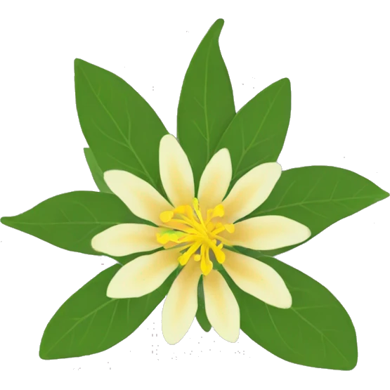 Ashwagandha flower with greenish-yellow petals and a central yellow stamens emojis emoji